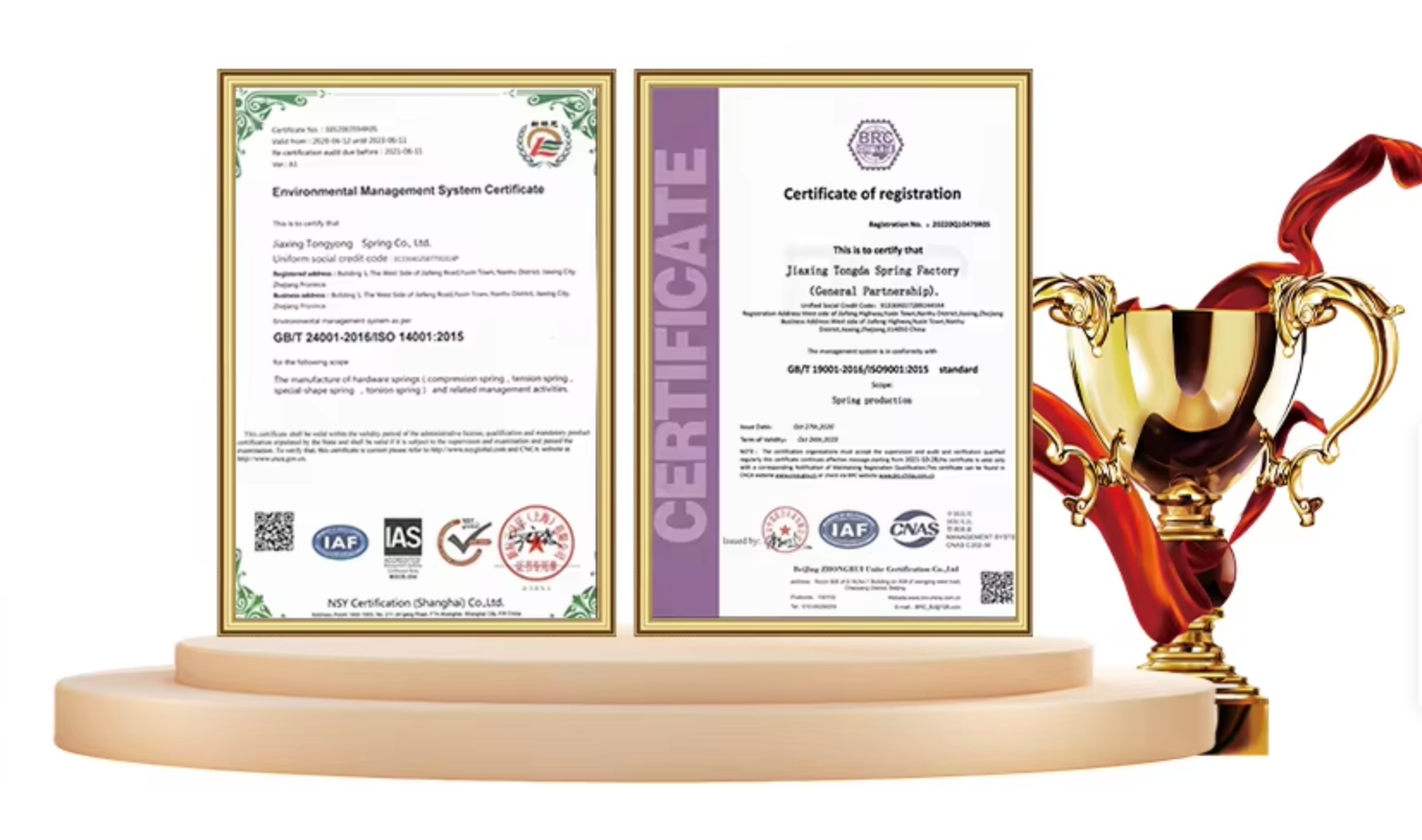 荣誉证书 / Honor Certificate